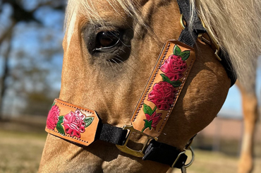 Hand Tooled and Painted Leather Halter - Pink Roses